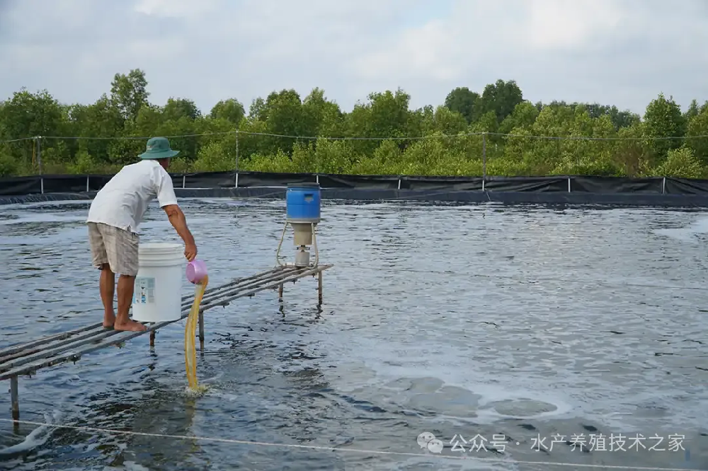 從精選到投喂，實現成本直降 20%